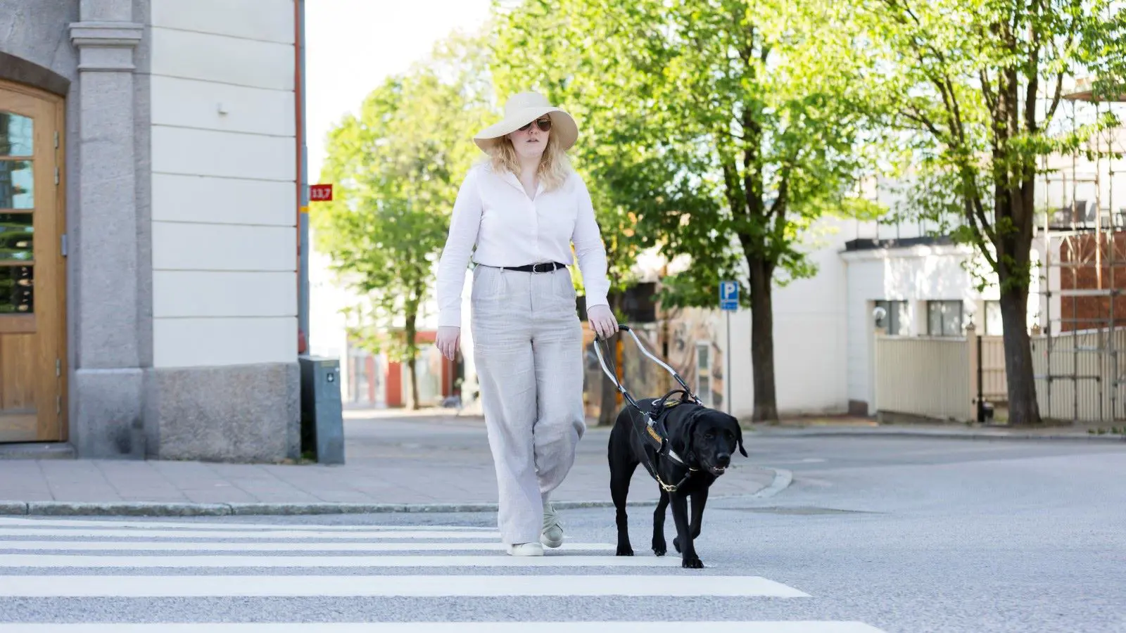 En kvinna går över gatan med sin hund. Hunden har på sig en sele och leder kvinnan säkert över övergångsstället.