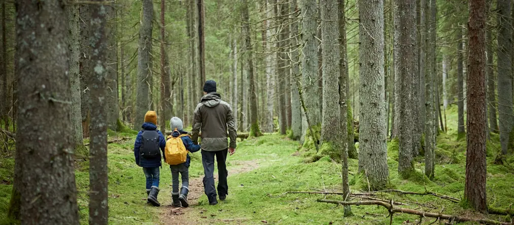 En man går i en skog tillsammans med två barn , de går in i skogen bortvändra från kameran. alla tre är fritidsklädda.