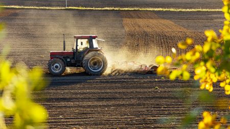 Traktor plöjer på en åker