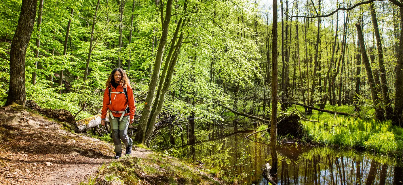 Kvinna i ljusgrön bokskog.