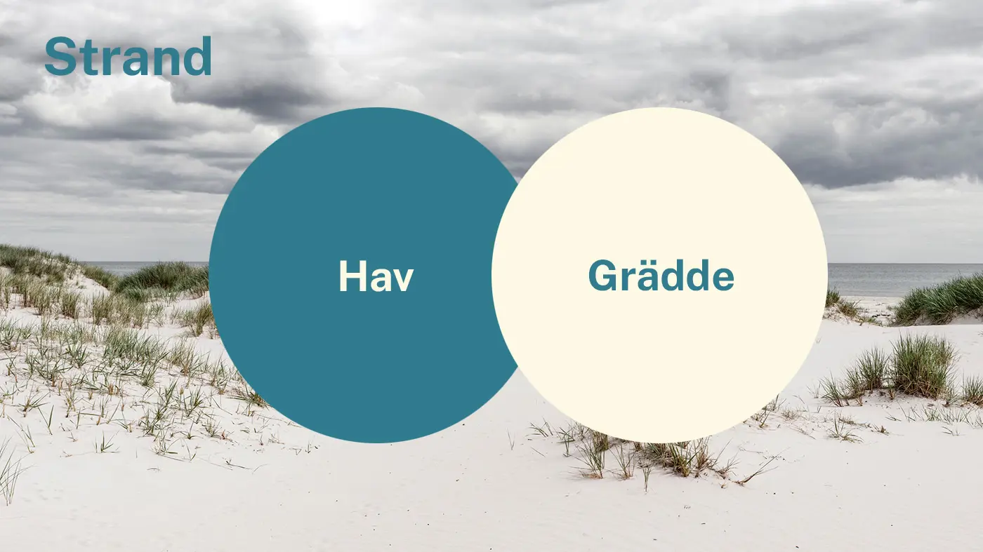 Färgerna Hav och Grädde i två cirklar. I bakgrunden syns kusten men havet och en sandstrand.